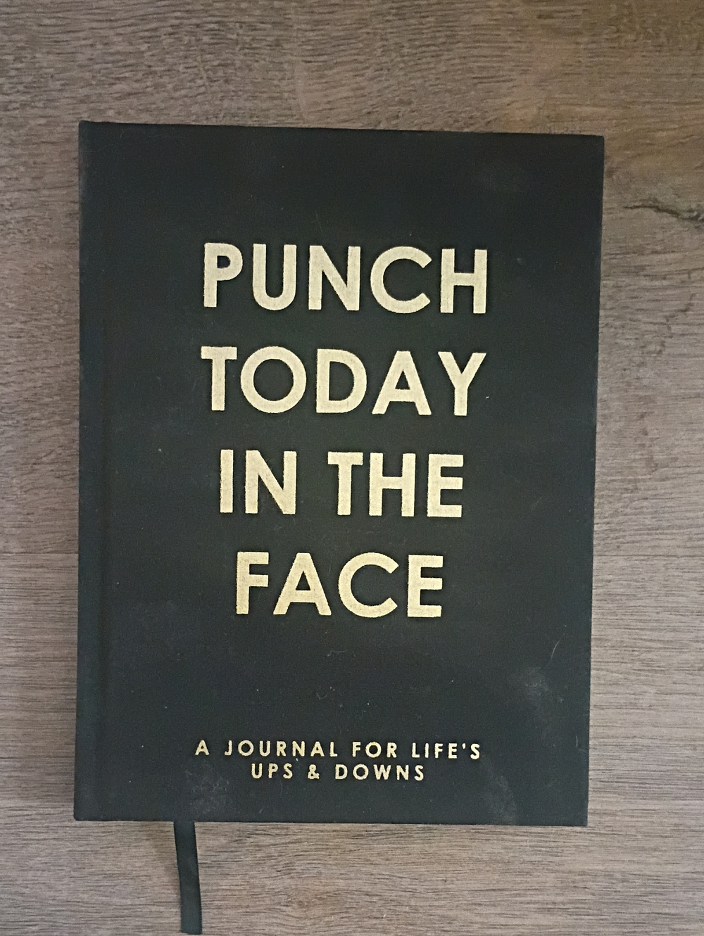 Punch Today In The Face Gold Lettered Journal